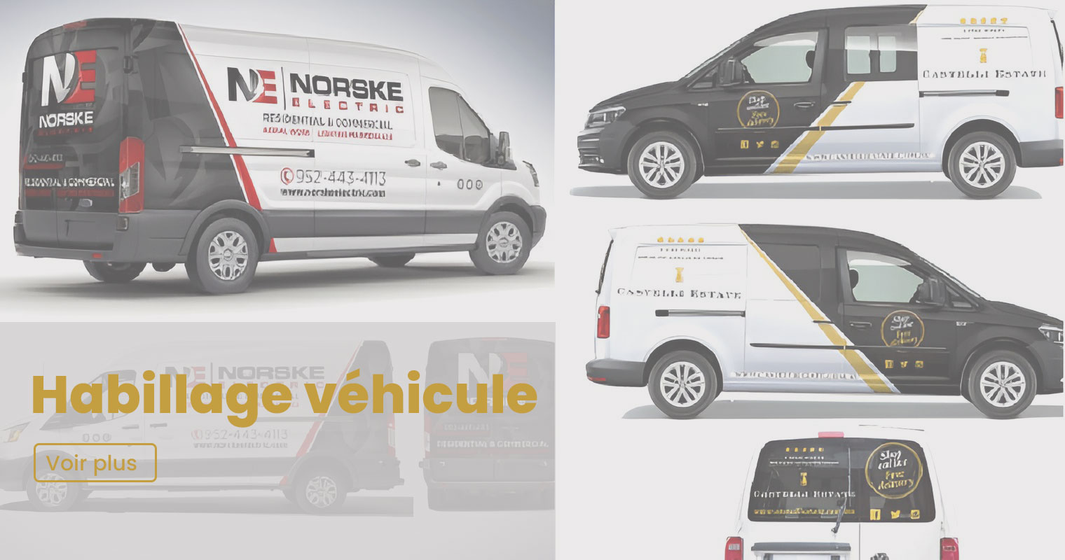 Habillage véhicule